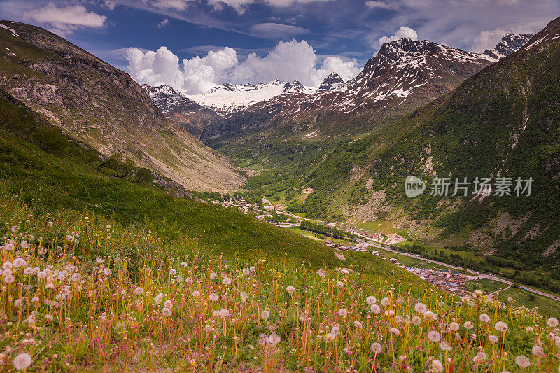 田园诗般的高山景观与野花在春天在瓦诺瓦兹，附近的波尼瓦尔-sur- arc -法国阿尔卑斯山